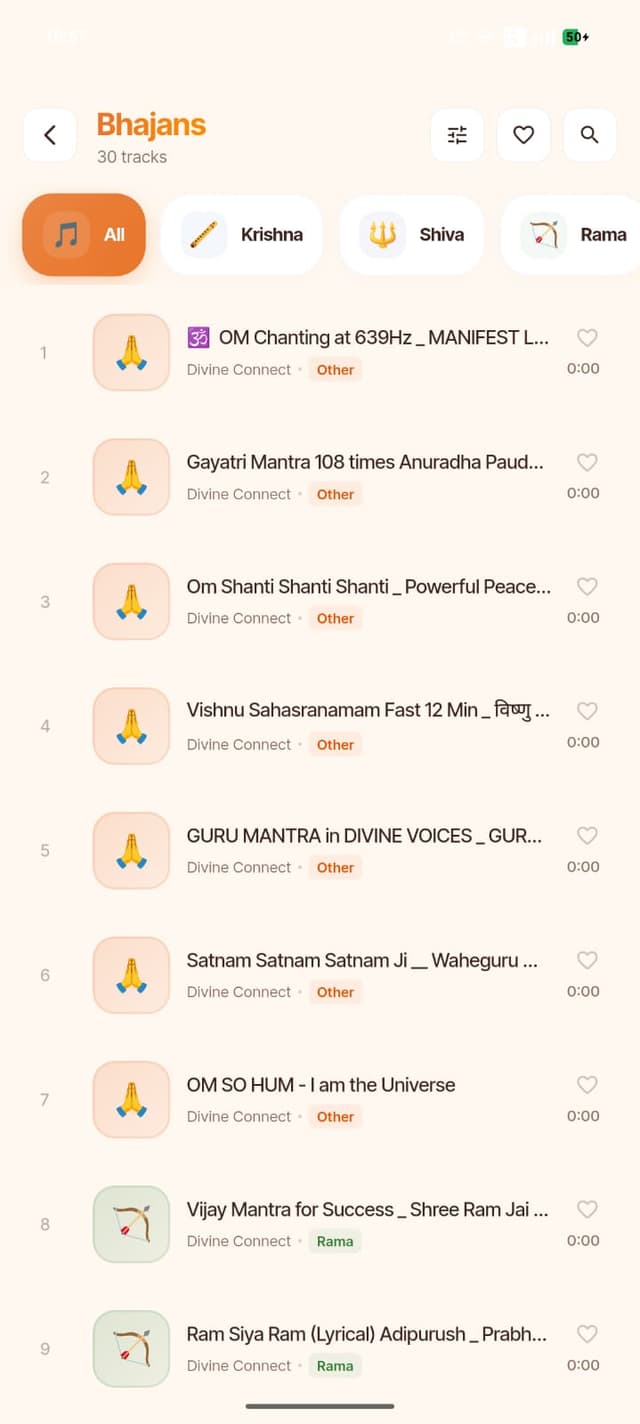 Bhajan experience